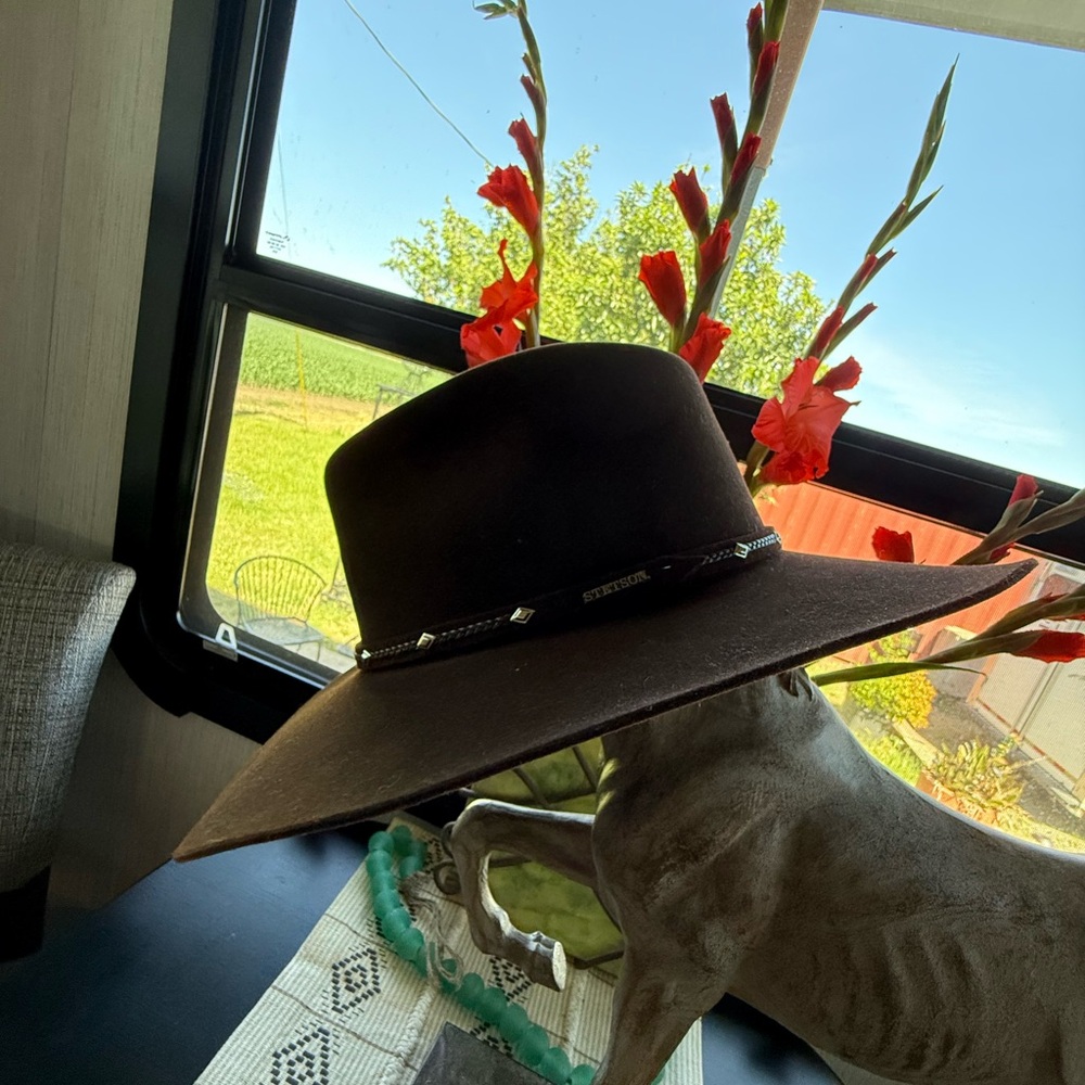 Stetson Pawnee Western Hat Gun Club